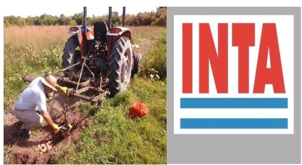 Papa: Una alternativa para el valle bonaerense del río Colorado, Buenos Aires, Argentina (2015-2016) - Image 1