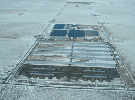 Intensificación de los sistemas ganaderos y la contaminación ambiental, el caso de los gases efecto invernadero y el nitrógeno - Image 2