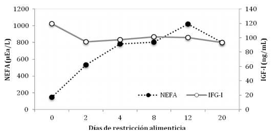 Efecto del estatus nutricional en la respuesta productiva del ganado criancero: Conceptos básicos para mejorar la eficiencia y rentabilidad. - Image 3