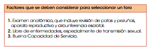  Selección de toros de carne: Las apariencias engañan - Image 6