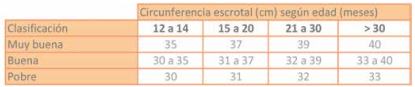  Selección de toros de carne: Las apariencias engañan - Image 1