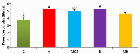 Efectos de los aditivos: Antibiótico, Prebiótico y Probiótico en el rendimiento, y conteo microbiológico en Pollos de Engorde - Image 7