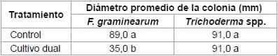 Control biológico de Fusarium graminearum: utilización de Trichoderma spp. y biofumigación con parte aérea de Brassica juncea - Image 5