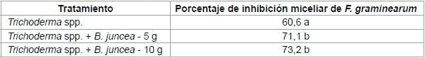 Control biológico de Fusarium graminearum: utilización de Trichoderma spp. y biofumigación con parte aérea de Brassica juncea - Image 6