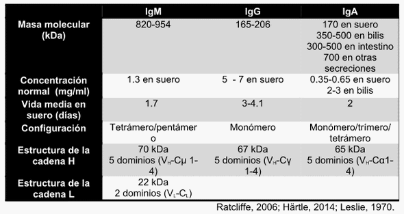 Estructura y características principales de los anticuerpos aviares - Image 2