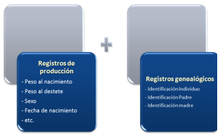 DEP´s: ¿Qué son y para qué sirven? - Image 3