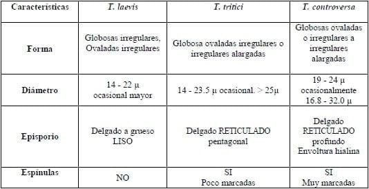 Carbones del trigo - Image 1