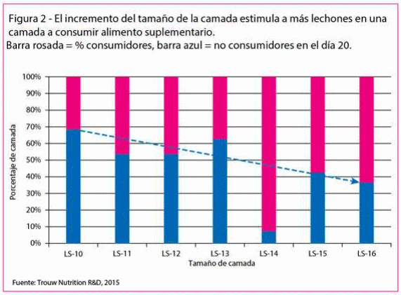 Nutrición Predestete: Donde poco significa mucho - Image 3