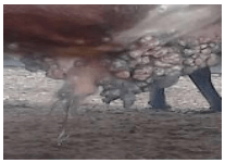 Papilomatosis: Estudio de Caso - Image 3