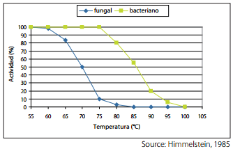 Arabinoxilanos: El factor antinutricional principal - Image 11