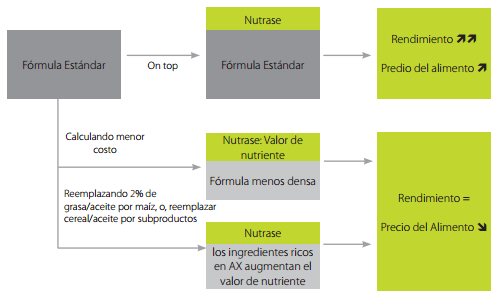 Arabinoxilanos: El factor antinutricional principal - Image 15