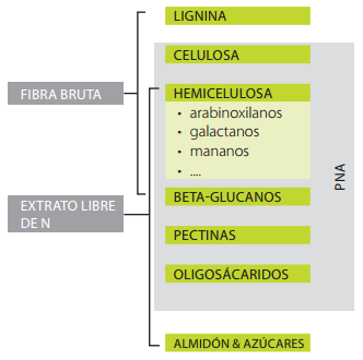 Arabinoxilanos: El factor antinutricional principal - Image 1