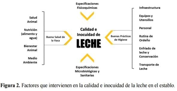 Leche: Del establo a la mesa desde el punto de vista normativo - Image 2