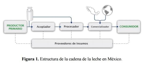 Leche: Del establo a la mesa desde el punto de vista normativo - Image 1