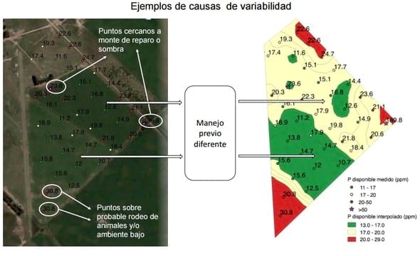 Aportes para el entendimiento de la variabilidad espacial de fósforo extractable en lotes de producción - Image 4