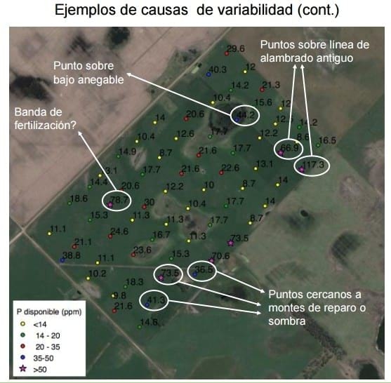 Aportes para el entendimiento de la variabilidad espacial de fósforo extractable en lotes de producción - Image 3