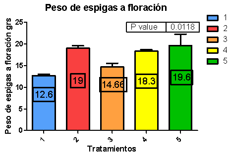 Diferentes combinaciones de fosfitos en aplicación conjunta de fungicidas en Lincoln Buenos Aires. - Image 5