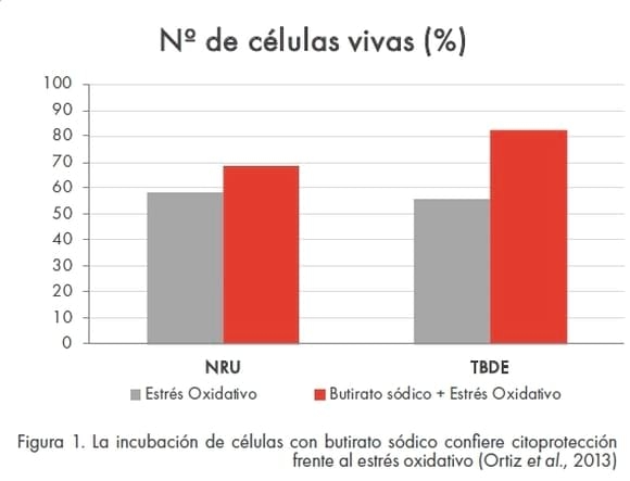 Mantenimiento de la salud intestinal para una produccion eficiente en Porcino. - Image 4