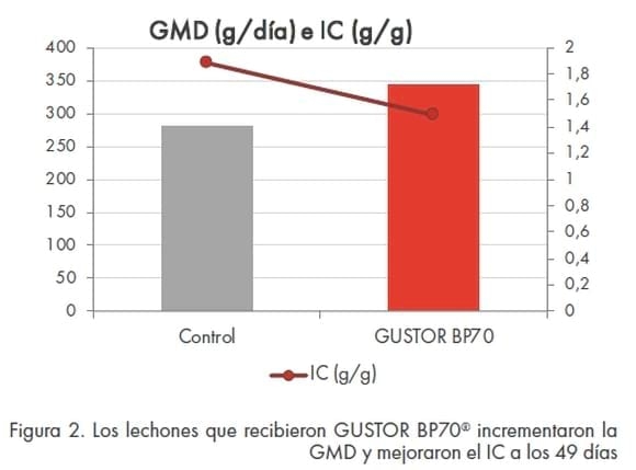 Mantenimiento de la salud intestinal para una produccion eficiente en Porcino. - Image 5