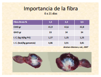Alimentación del Pollo en la primer semana - Image 6