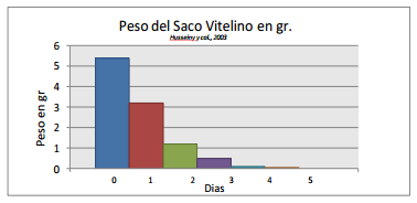 Alimentación del Pollo en la primer semana - Image 2