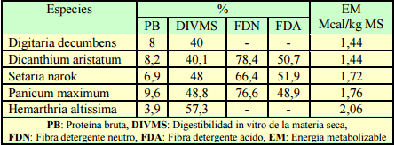 Suplementación de bovinos para carne sobre pasturas tropicales. aspectos nutricionales, productivos y económicos - Image 1