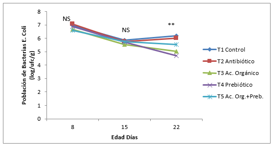 Evaluación de un prebiótico y ácido orgánico, en el crecimiento alométrico del sistema digestivo, morfometría de vellosidades y bacterias intestinales en pollos de engorde - Image 12