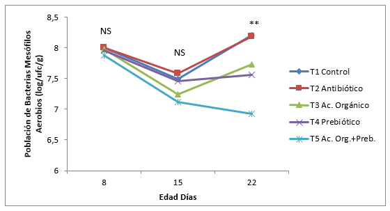 Evaluación de un prebiótico y ácido orgánico, en el crecimiento alométrico del sistema digestivo, morfometría de vellosidades y bacterias intestinales en pollos de engorde - Image 14