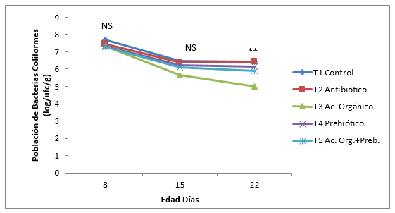 Evaluación de un prebiótico y ácido orgánico, en el crecimiento alométrico del sistema digestivo, morfometría de vellosidades y bacterias intestinales en pollos de engorde - Image 13