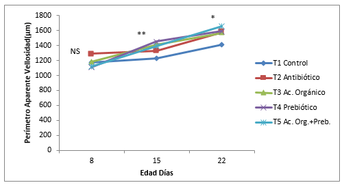 Evaluación de un prebiótico y ácido orgánico, en el crecimiento alométrico del sistema digestivo, morfometría de vellosidades y bacterias intestinales en pollos de engorde - Image 7