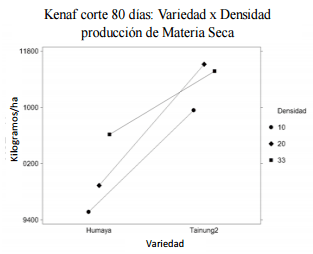 Densidad de siembra, arreglo de surco y edad de corte en la producción forrajera de las variedades humaya y tainung-2 de kenaf - Image 5