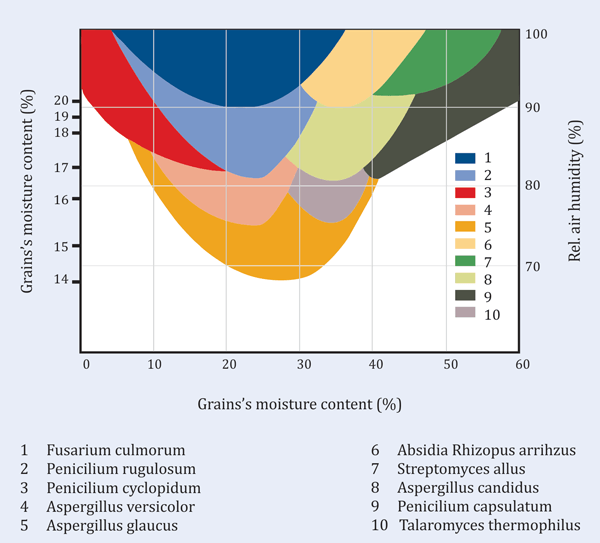 Manejo de Granos Dañados - Image 3