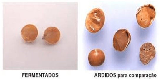 Manejo de Granos Dañados - Image 1