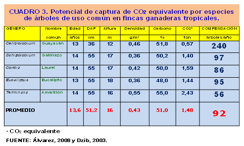 Productividad, calidad de forrajes y potencial de producción y de calidad en productos de origen animal en sistemas silvopastoriles - Image 3