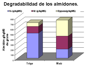 Utilización de cereales alternativos en la alimentación de bovinos - Image 6