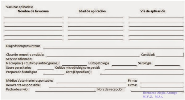 Contribución del patólogo aviar a la industria avícola - Image 12