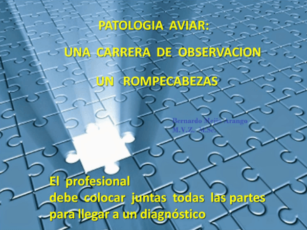 Contribución del patólogo aviar a la industria avícola - Image 7