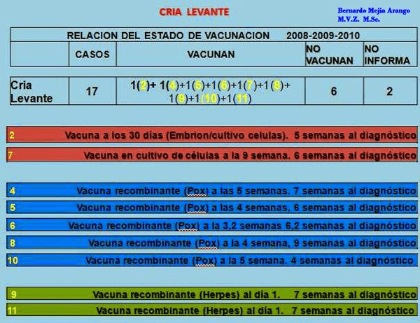 Contribución del patólogo aviar a la industria avícola - Image 21