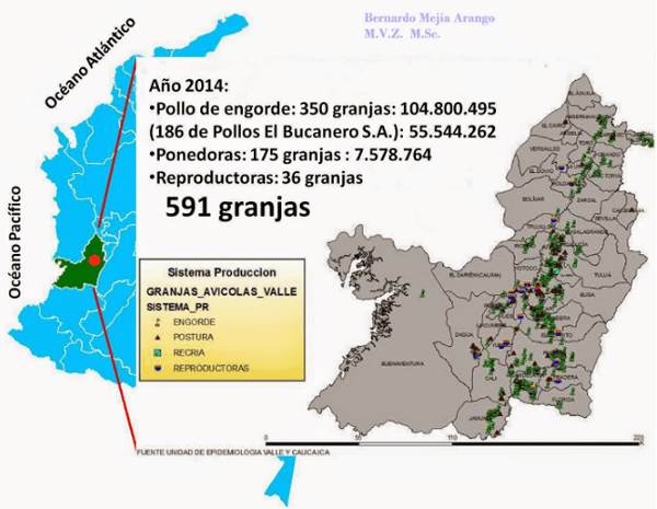 Contribución del patólogo aviar a la industria avícola - Image 13