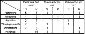 Aspectos clínicos, bacteriológicos y económicos de un caso de descarga Vulvar. - Image 2