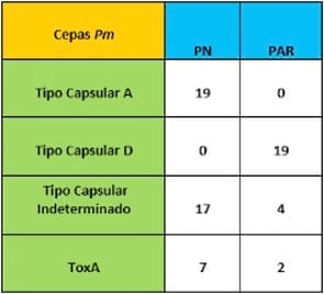 Caracterización y comparación de cepas de Pasteurella Multocida asociadas con neumonías porcinas y Rinitis atrófica progresiva. - Image 1