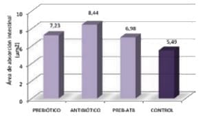 Modificaciones de la actividad digestiva y Absortiva del intestino de lechones post destete producidos por antibiótico, prebiótico, Micotoxina y sus interacciones. - Image 1