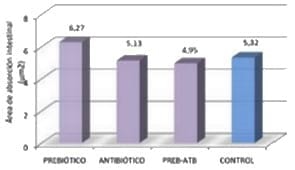Modificaciones de la actividad digestiva y Absortiva del intestino de lechones post destete producidos por antibiótico, prebiótico, Micotoxina y sus interacciones. - Image 2