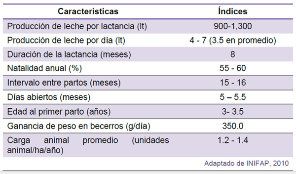Estrategias de suplementación en ganado de doble propósito en el trópico húmedo - Image 2