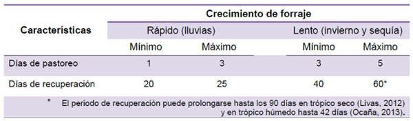 Estrategias de suplementación en ganado de doble propósito en el trópico húmedo - Image 4