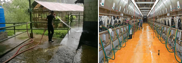 El uso adecuado del agua en explotaciones de ganado bovino - Image 4