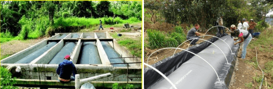 El uso adecuado del agua en explotaciones de ganado bovino - Image 7