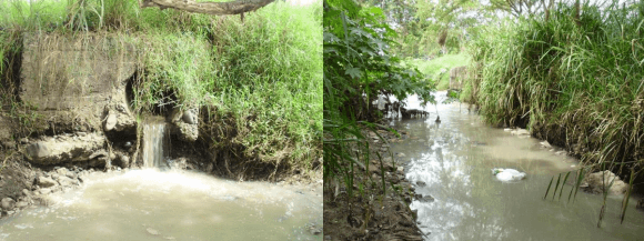 El uso adecuado del agua en explotaciones de ganado bovino - Image 1