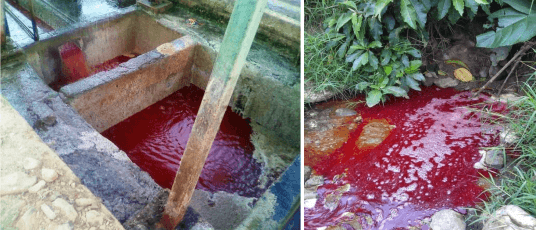 El uso adecuado del agua en explotaciones de ganado bovino - Image 8
