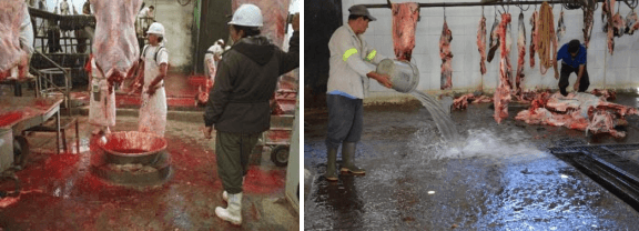 El uso adecuado del agua en explotaciones de ganado bovino - Image 5